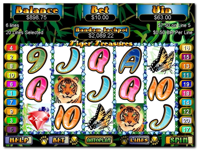 705% No Rules Bonus! at Dubai Casino Online