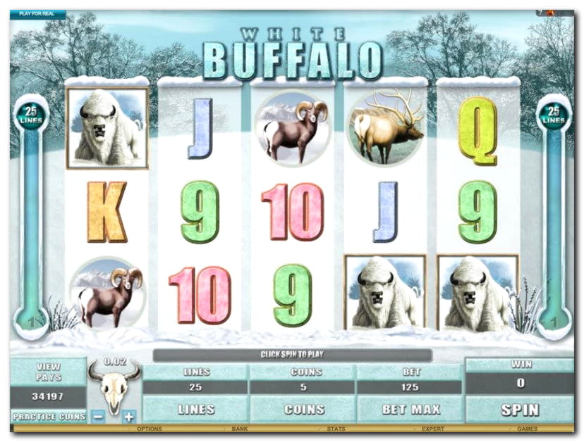 225 Free Spins no deposit at bWin Casino