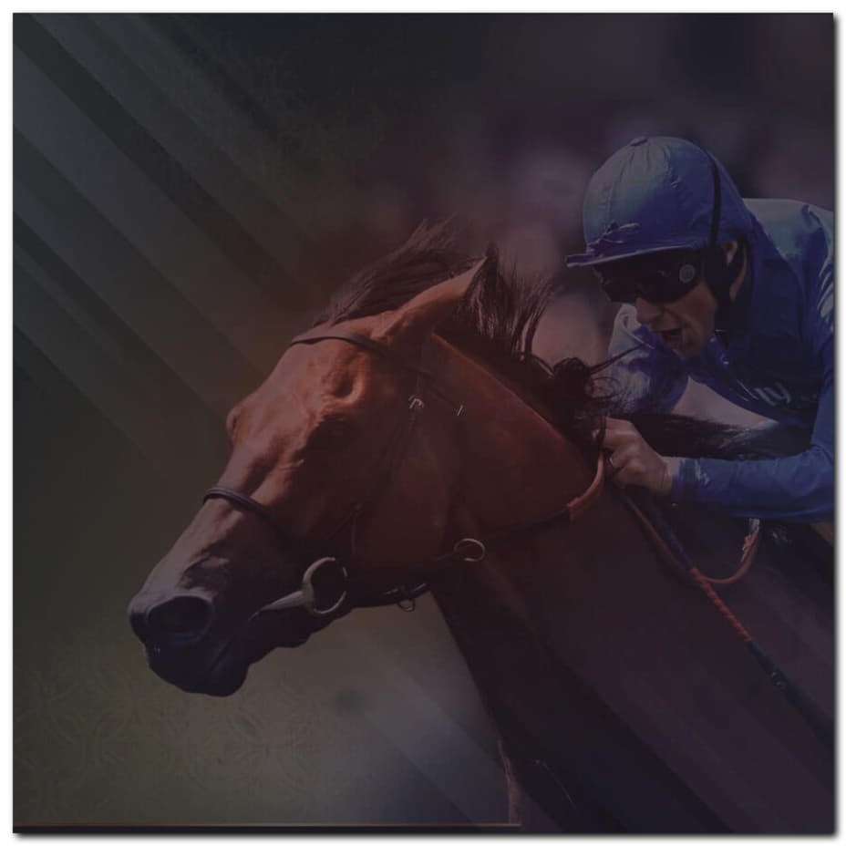 €4795 No deposit bonus casino at Power Spins Casino