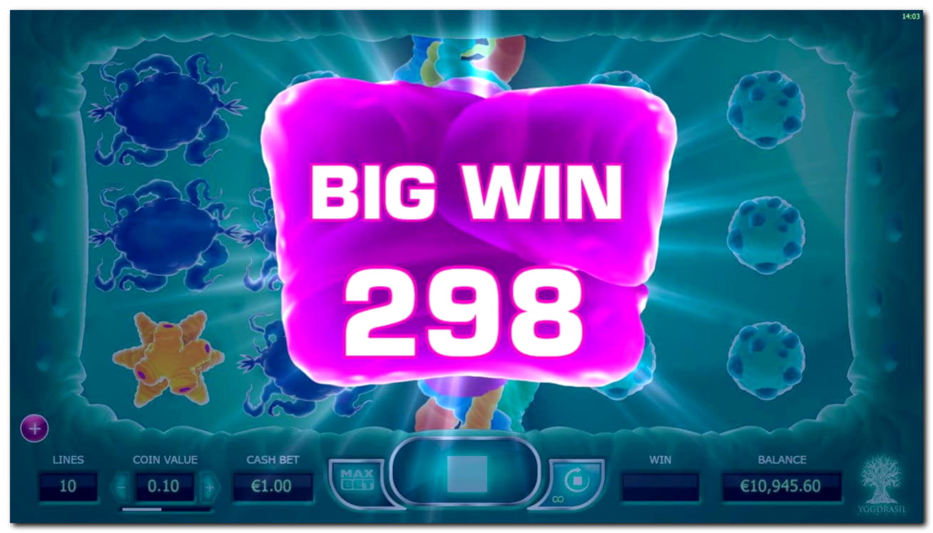 260 Loyalty Free Spins! at Dubai Casino Online