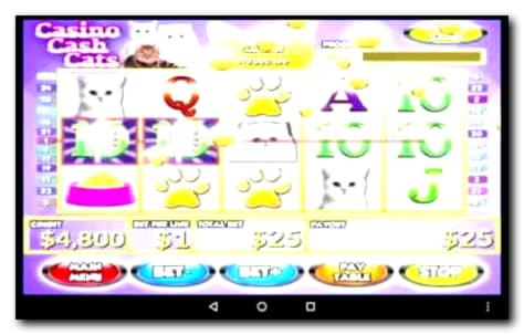 730% Match bonus at Dafa Bet Casino