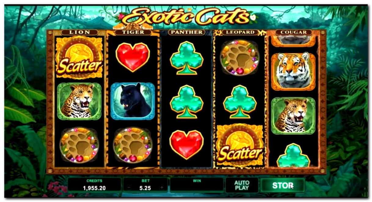 170 Free spins at Vegas Casino Online