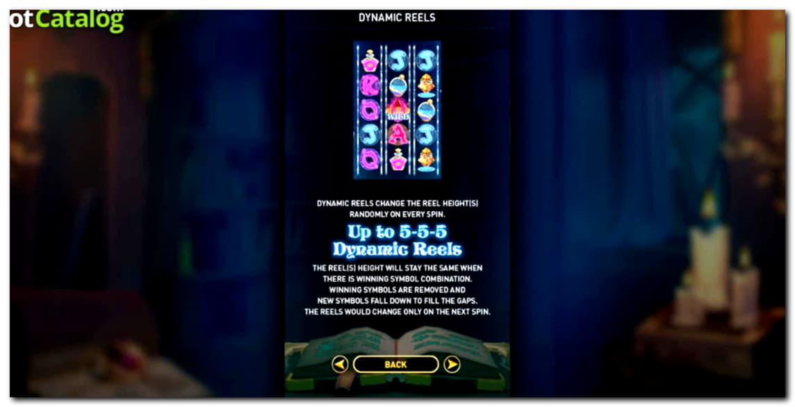 55 Loyalty Free Spins! at Win A Day Casino