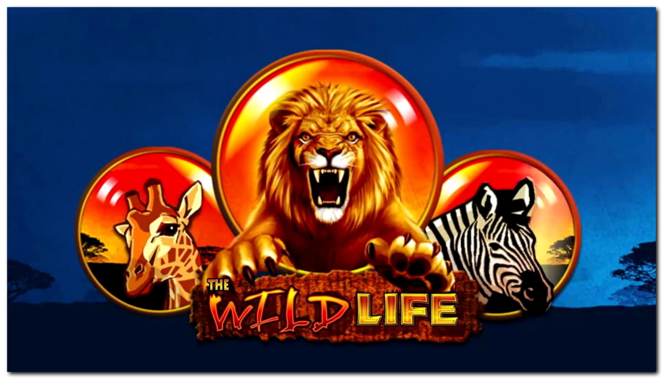 $675 FREE CASINO CHIP at Superior Casino