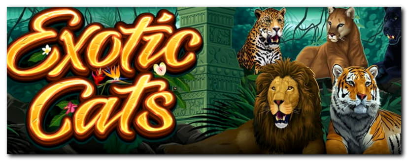 $88 Daily freeroll slot tournament at Win A Day Casino