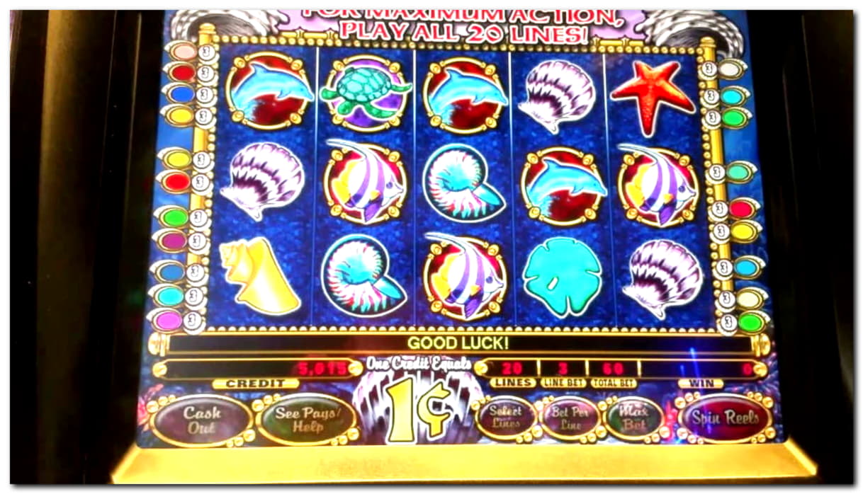 860% No Rules Bonus! at Red Bet Casino