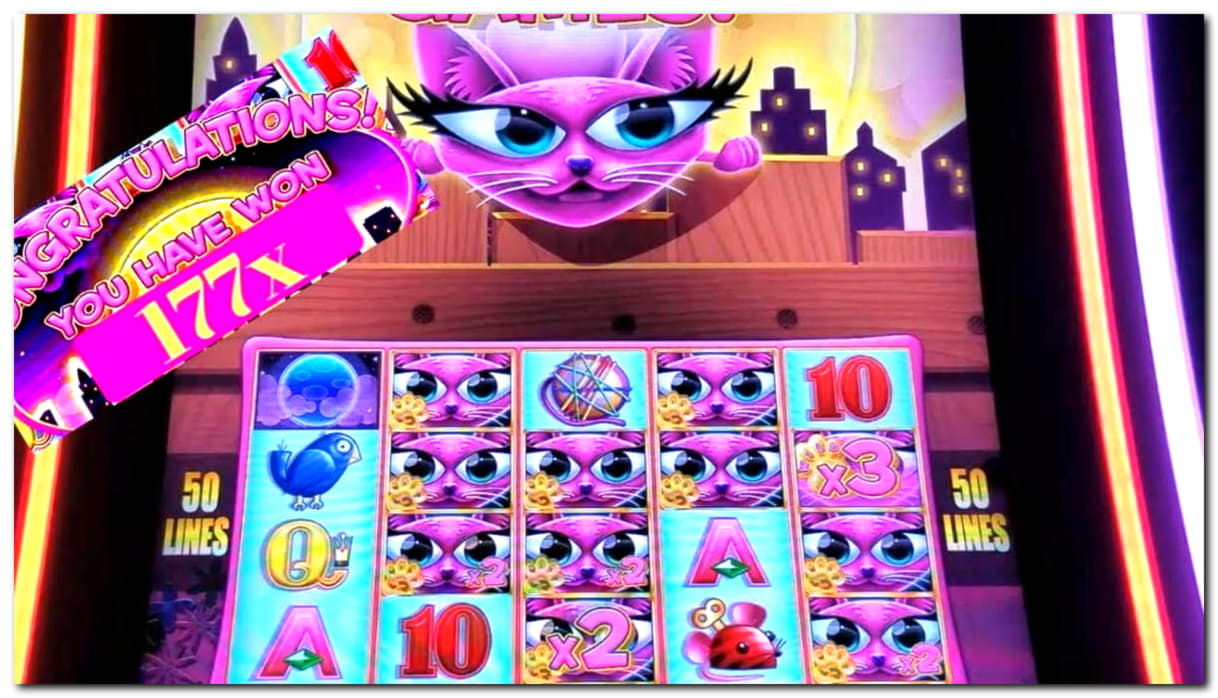 ﻿$225 Casino Tournament at Superior Casino