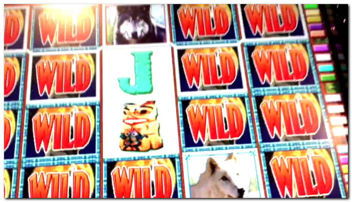 330% Match bonus casino at Golden Star Casino
