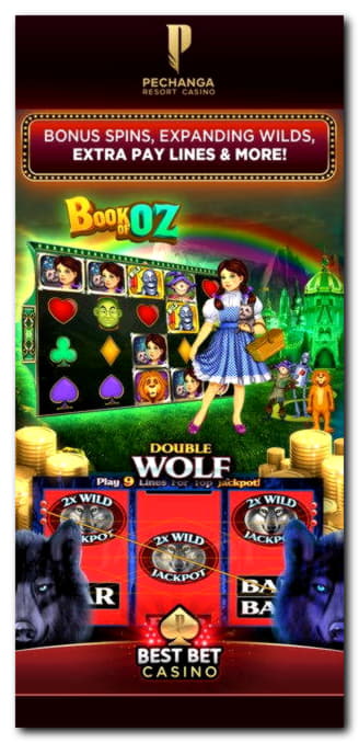 EURO 445 Free Money at Miamidice Casino