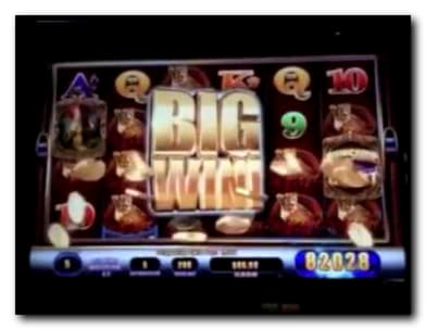 150 Free spins no deposit casino at bWin Casino