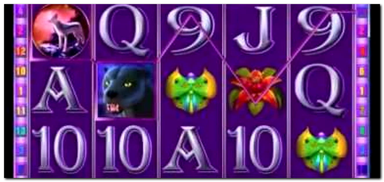 160 free spins no deposit casino at bWin Casino