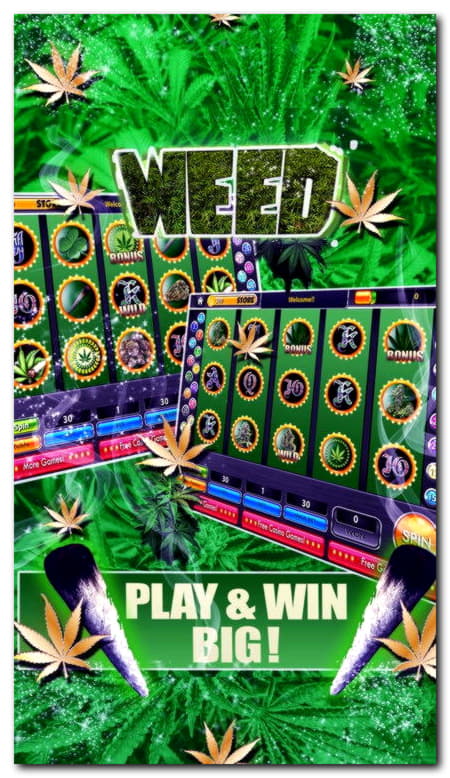 510% First Deposit Bonus at Casino com
