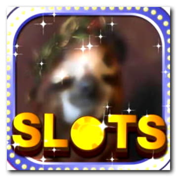 100 Loyal Free Spins! at Mobile Bet Casino