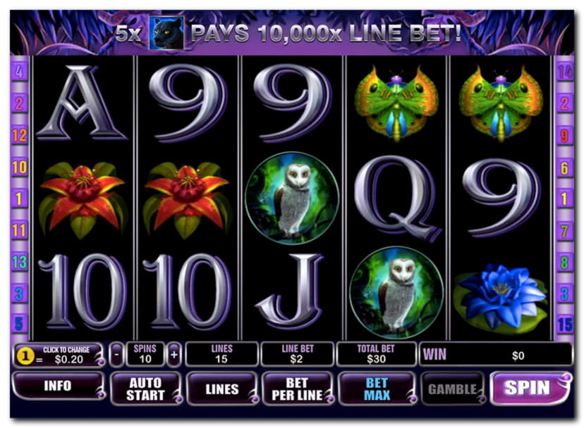 EURO 650 Free Casino Ticket at BranGo Casino
