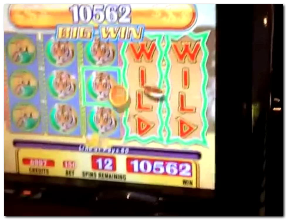 255 Free Spins Casino at Genesis Casino