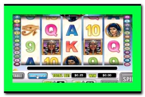 45 free spins casino at Red Stag Casino
