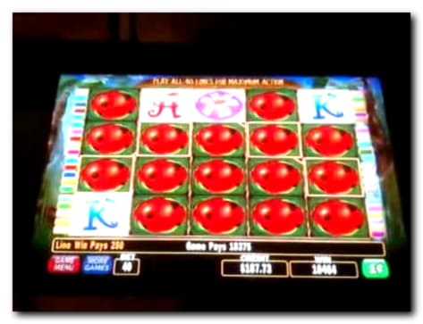 35% Casino match bonus at Superior Casino