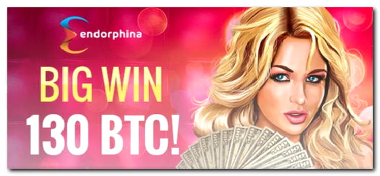 245 Free Spins at Royal Panda Casino