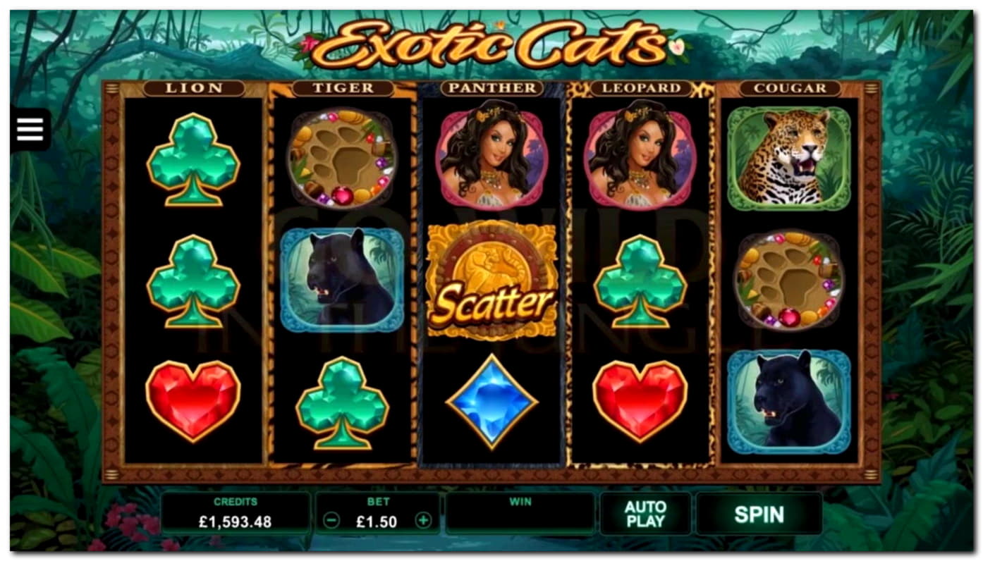 €925 Mobile freeroll slot tournament at Casino com