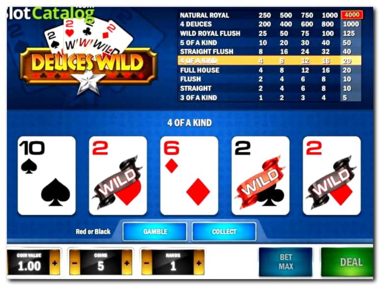 EUR 1760 No deposit bonus at Emu Casino