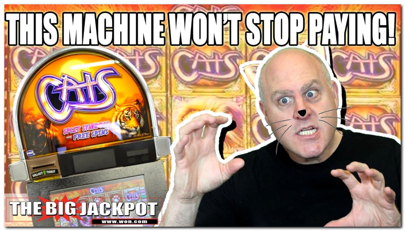 Eur 300 Mobile freeroll slot tournament at BranGo Casino