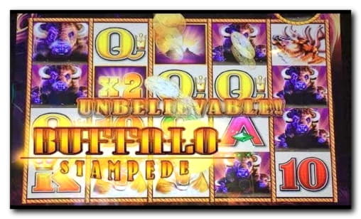 EURO 805 no deposit bonus at Emu Casino