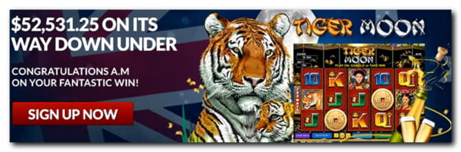 365% Welcome Bonus at Casino Share