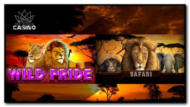 €666 no deposit casino bonus at Zet Casino
