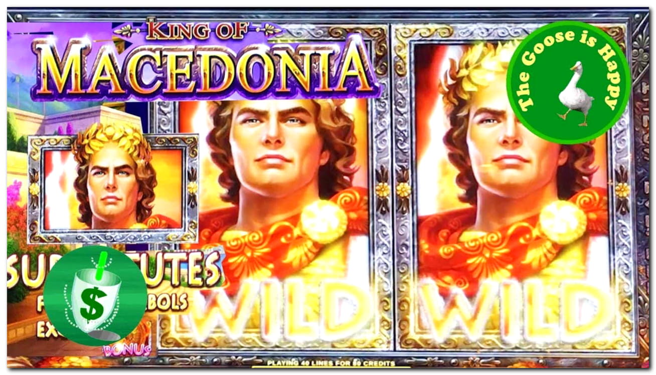 44 free spins at Miamidice Casino