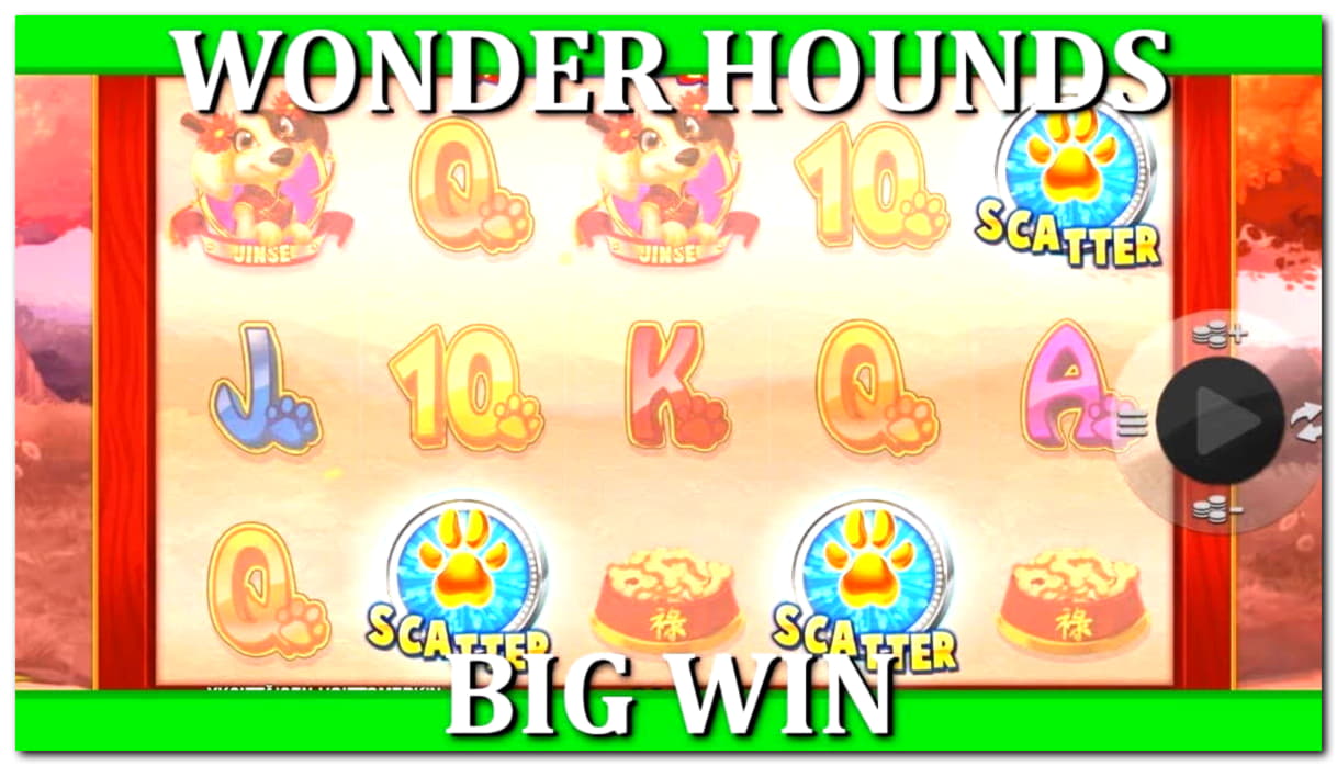 295% Best Signup Bonus Casino at Dafa Bet Casino