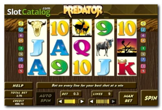 145 FREE Spins at Zet Casino