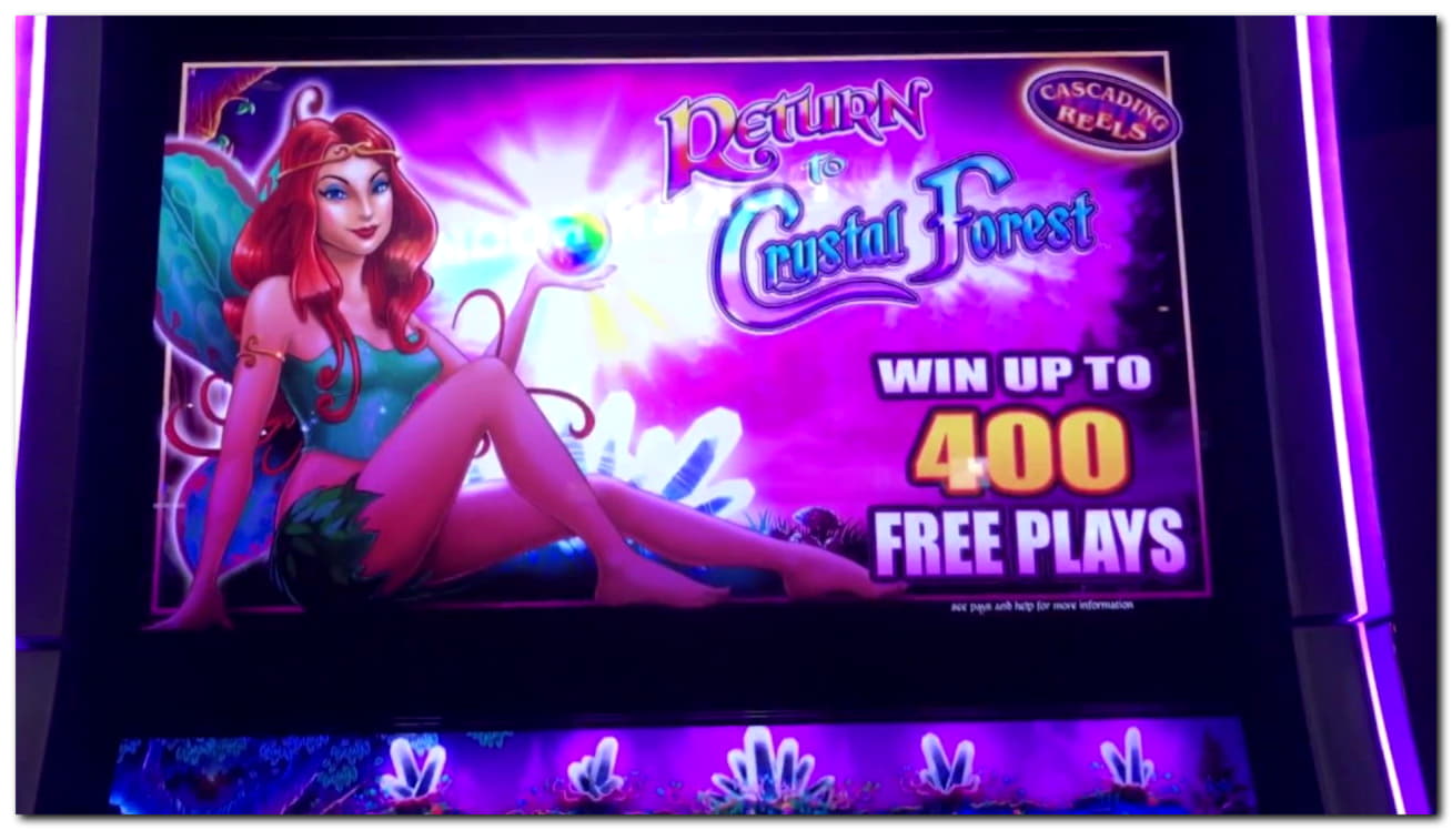 815% Match at a Casino at Miamidice Casino