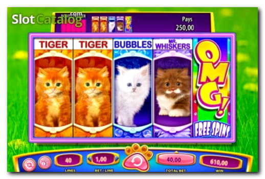 730% Best signup bonus casino at BranGo Casino