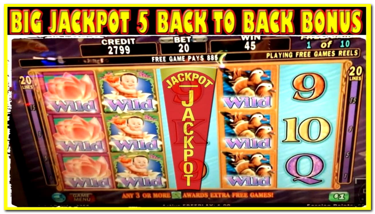 125 Loyalty Free Spins! at Miamidice Casino