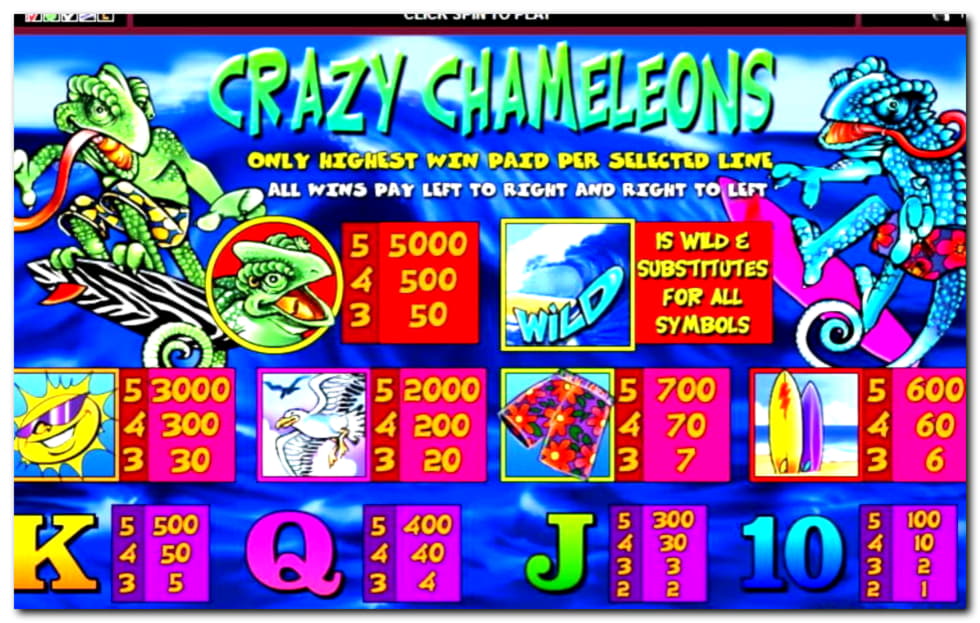 EURO 245 Tournament at Miamidice Casino