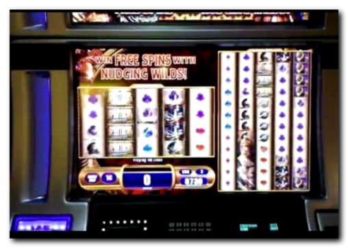 ﻿$230 Free Casino Chip at No Bonus Casino