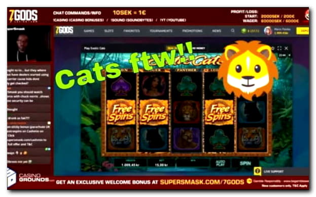 $335 Free Money at Mobile Bet Casino