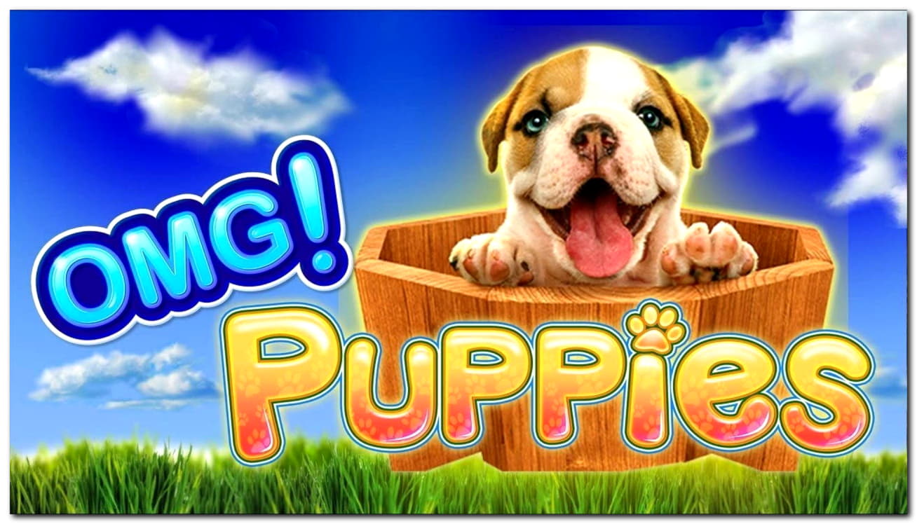 40 free spins casino at Zet Casino