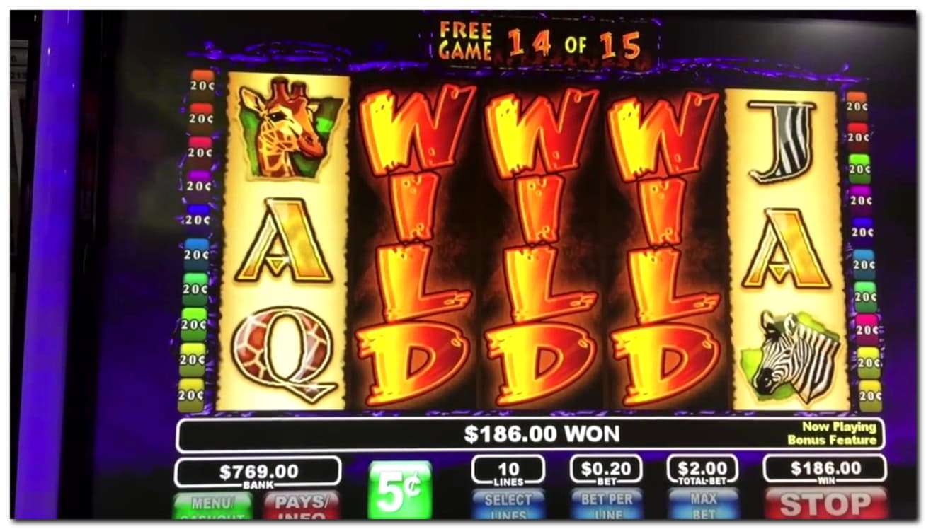 $335 Tournament at No Bonus Casino