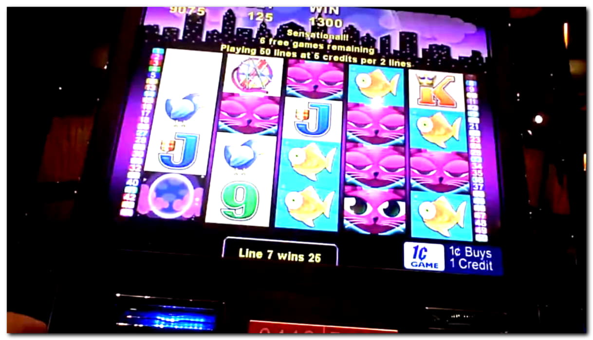 $865 Casino Tournament at Miamidice Casino