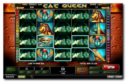 EURO 815 Casino Tournament at Genesis Casino
