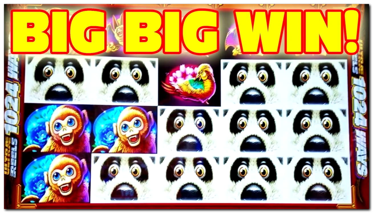 ﻿$575 Mobile freeroll slot tournament at Dafa Bet Casino