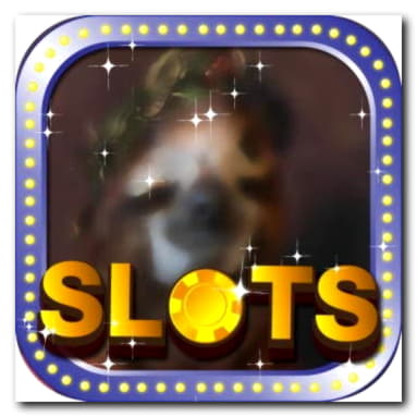 ﻿$385 Free Money at Golden Star Casino