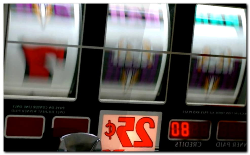 245 Free spins casino at Royal Panda Casino