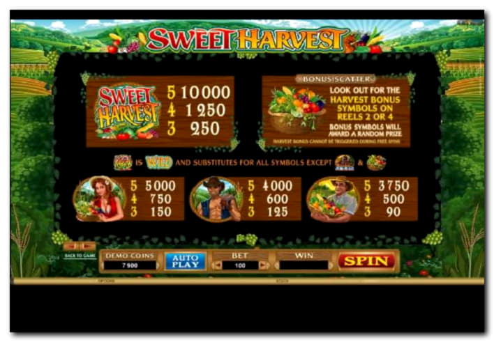€3545 No deposit casino bonus at Casino Share