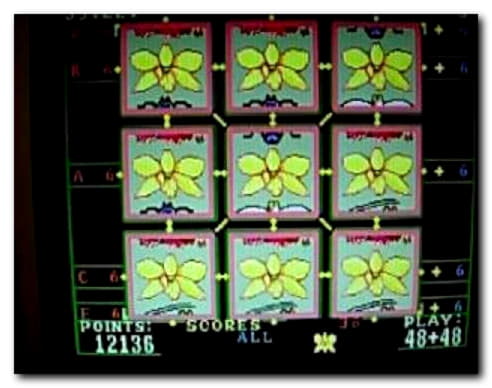 €775 Casino tournaments freeroll at Win A Day Casino