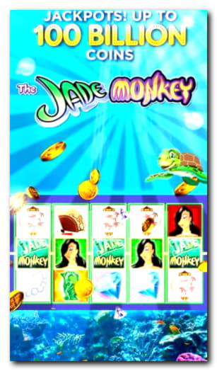 $365 Free chip casino at Miamidice Casino