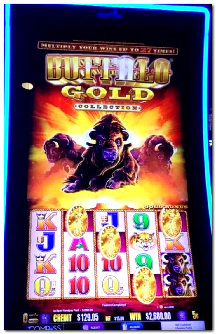 730% No Rules Bonus! at Dafa Bet Casino