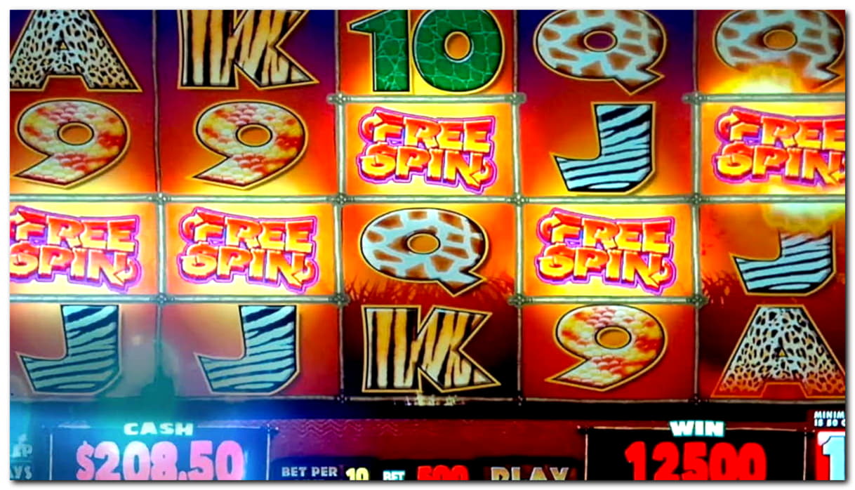 €255 Online Casino Tournament at Miamidice Casino