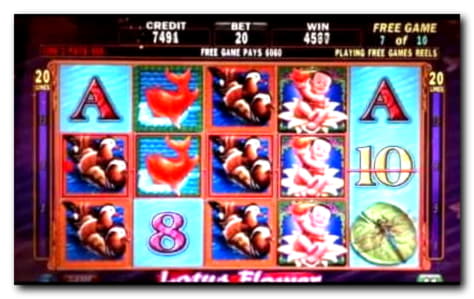 €160 Casino tournaments freeroll at Genesis Casino
